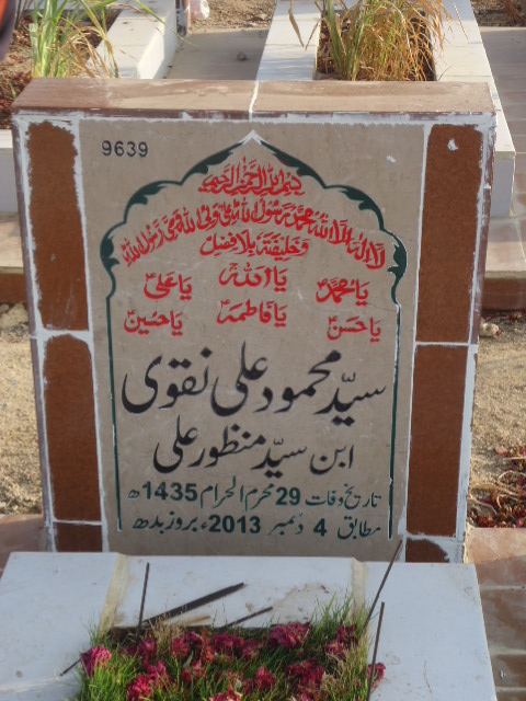 9639 – Syed Mehmood Ali Naqvi