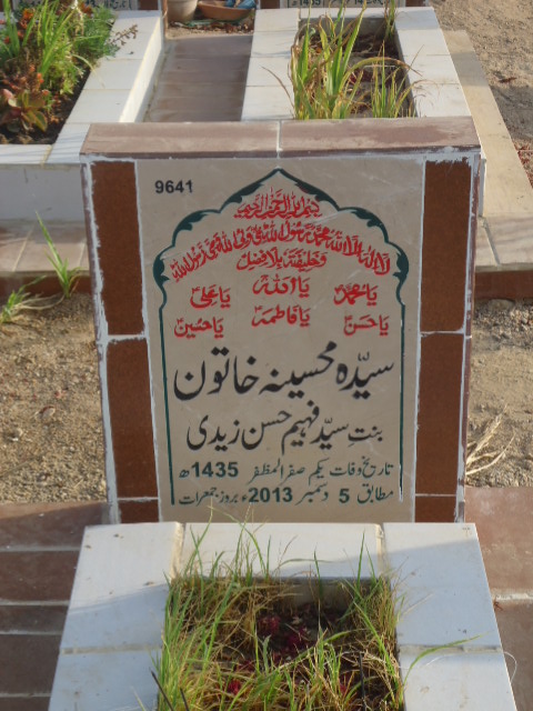 9641 – Syeda Mohsina Khatoon