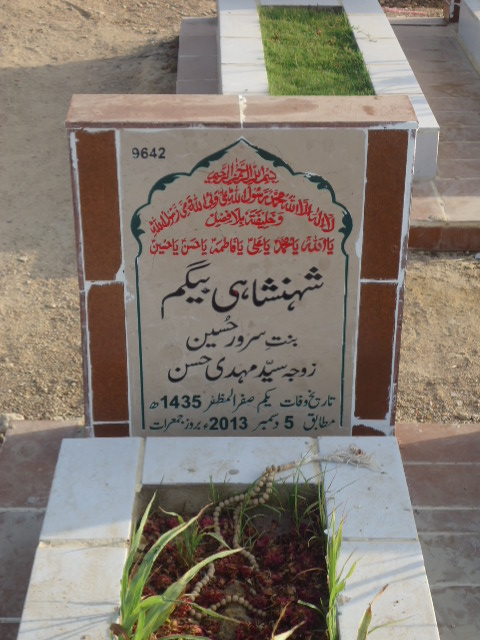9642 – Shahinshahi Begum