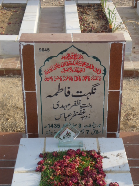 9645 – Nighat Fatima
