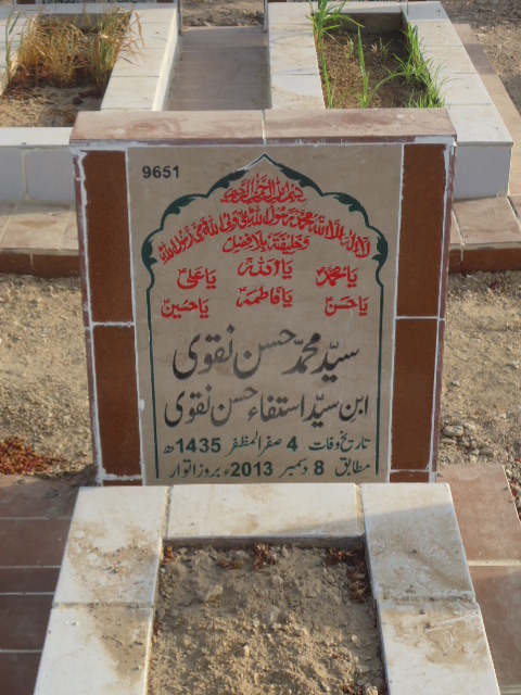 9651 – Syed Muhammad Hasan Naqvi
