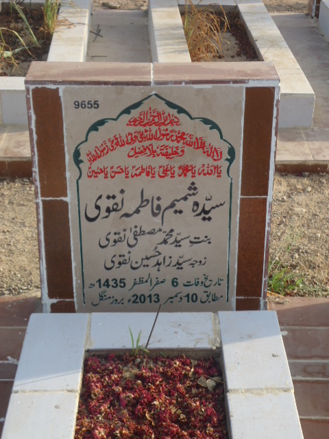 9655 – Syeda Shamim Fatima Naqvi