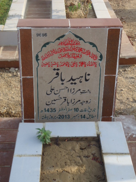 9666 – Naheed Baqar