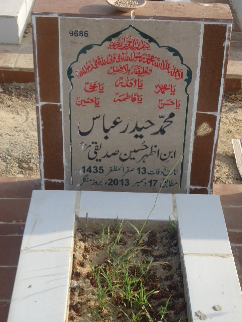 9686 – Muhammad Haider Abbas