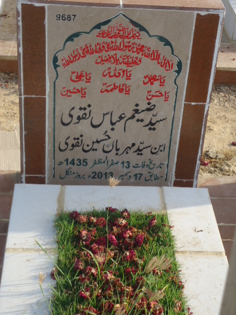 9687 – Syed Zaigham Abbas Naqvi