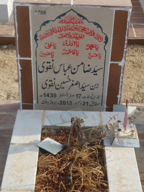 9706 – Syed Zamin Abbas Naqvi