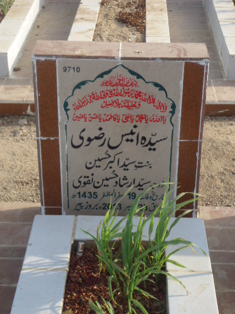 9710 – Syeda Anees Rizvi
