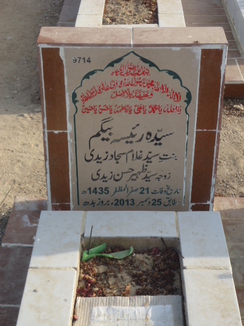 9714 – Syeda Raisa Begum