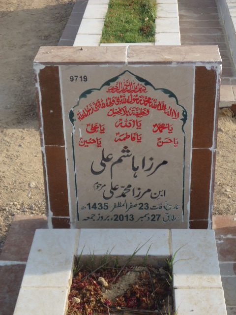 9719 – Mirza Hashim Raza