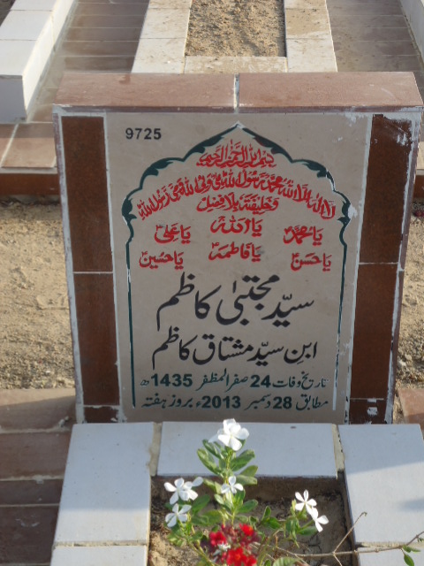 9725 – Syed Mujhtaba Kazim