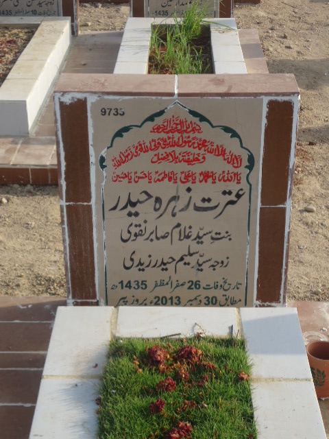 9733 – Itrat Zehra Haider