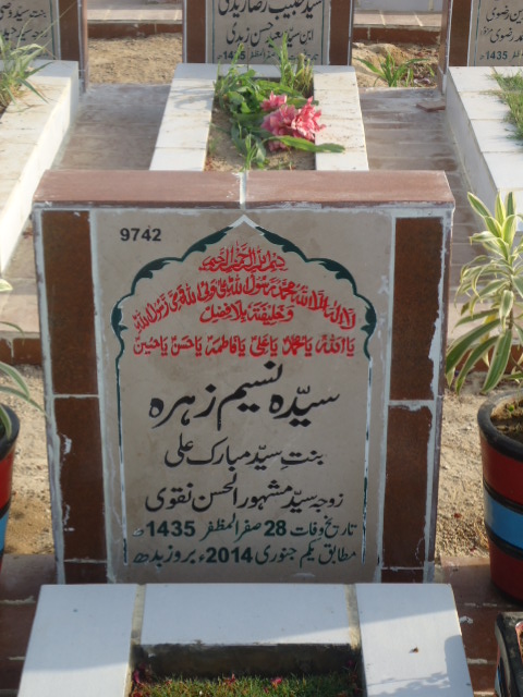 9742 – Syed Naseem Zehra