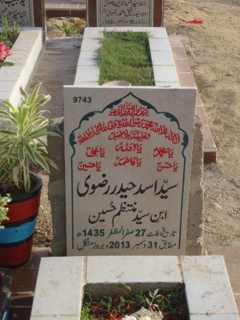 9743 – Syed Asad Haider Rizvi