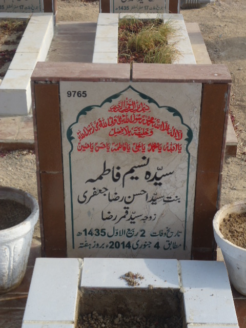 9765 – Syeda Naseem Fatima