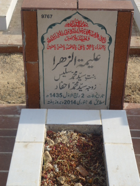9767 – Alimatul Zehra