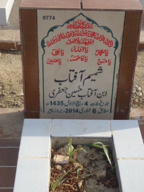 9774 – Shamim Aftab