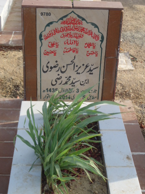 9780 – Syed Aziz Ul Hasan Rizvi