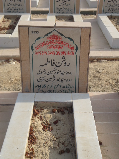 9533 – Roshan Fatima