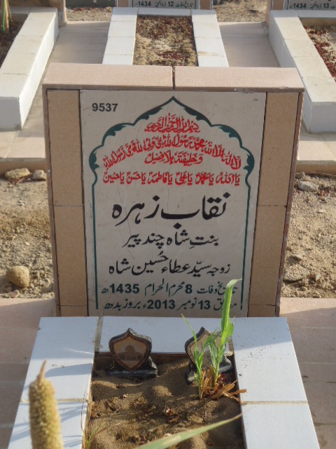 9537 – Naqab Zehra