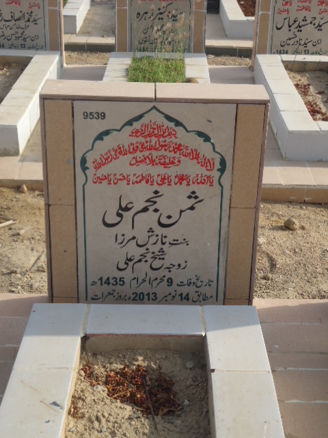 9539 – Suman Najam Ali