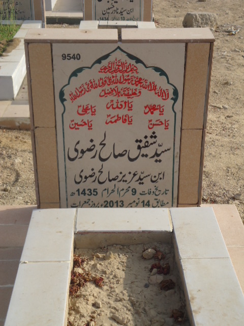 9540 – Syed Shafique sualah Rizvi