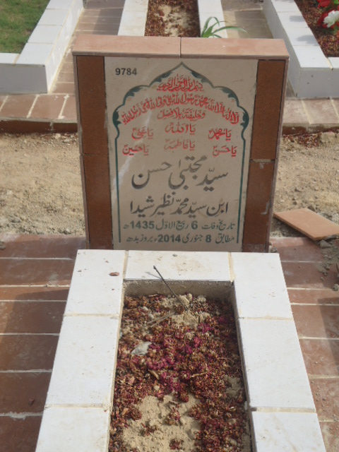 9784 – Syed Mujhtaba Hasan