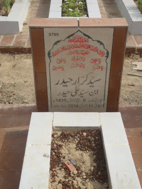 9799 – Syed Karar Haider