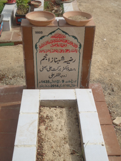 9805 – Razia Shahnaz Anjum