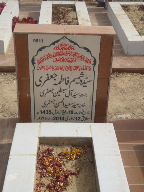 9811 – Syeda Shamim Fatima Jaffery