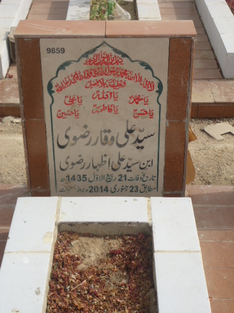 9859 – Syed Ali Waqar Rizvi