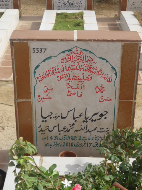 5537 – Javeria Abbas