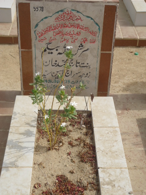 5578 – Arsh ullah Begum