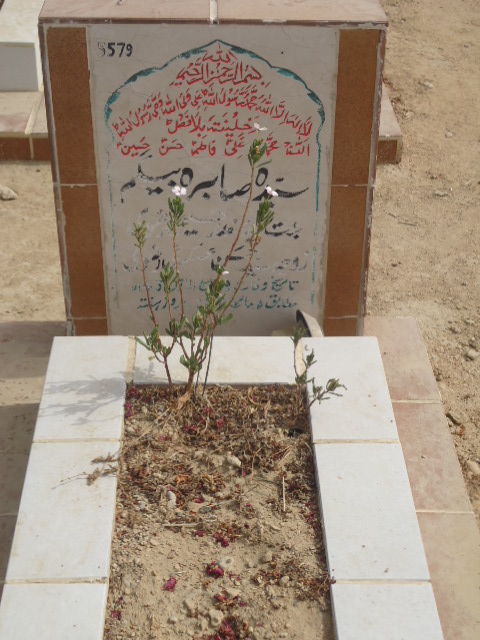 5579 – Syeda Sabra Begum