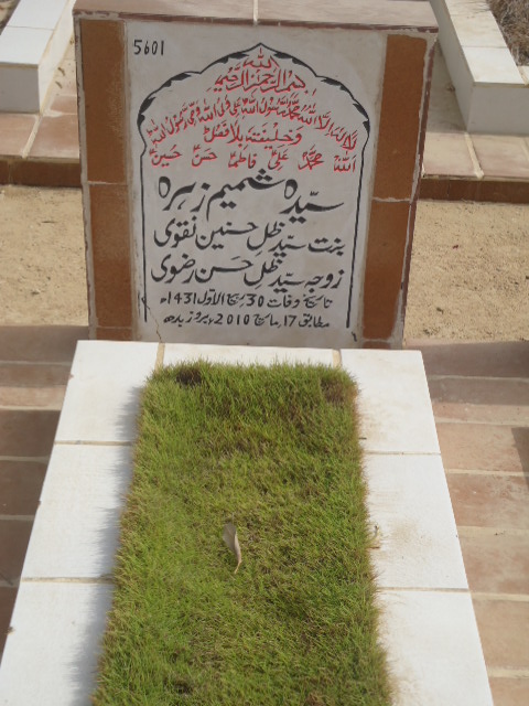 5601 – Syeda Shamim Zehra