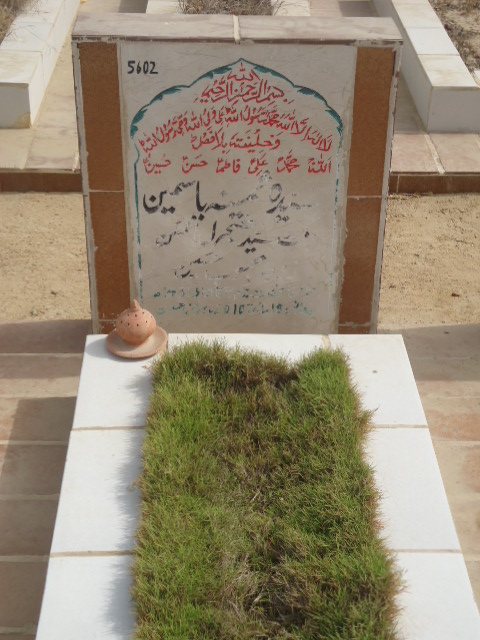 5602 – Syeda Samina Yasmeen