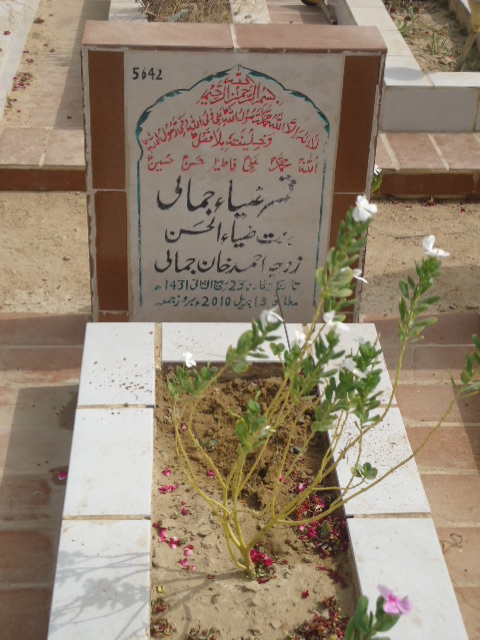 5642 – Qamar Zia Jamali
