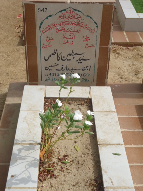 5647 – Syed Sibtain Kazmi