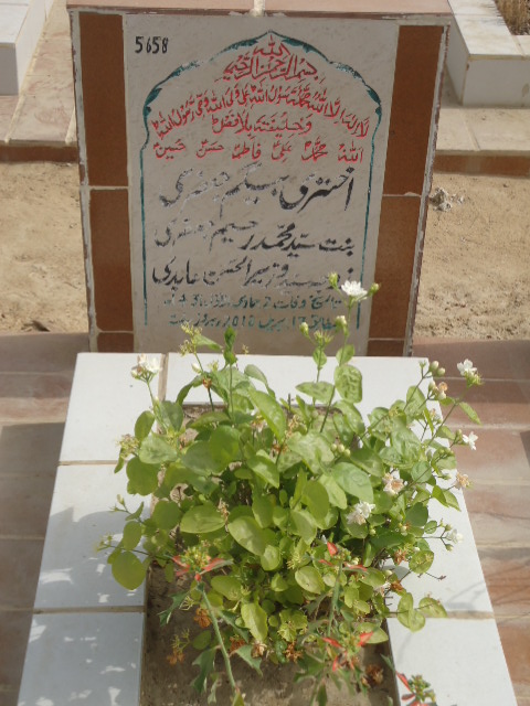 5658 – Akhtari Begum Jaffery
