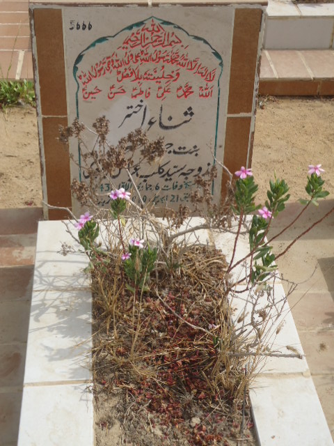5666 – Sana Rizvi
