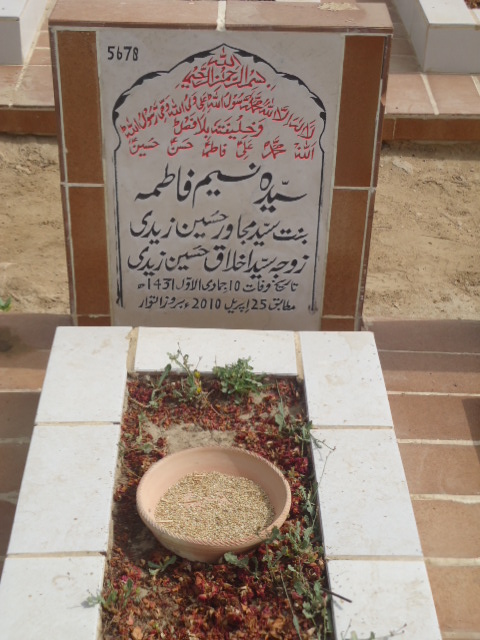 5678 – Syeda Naseem Fatima