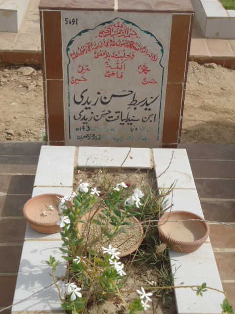 5691 – Syed Sibtay Hasan Zaidi