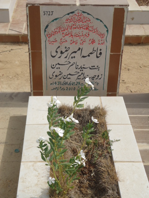 5723 – Fatima Ameer Rizvi