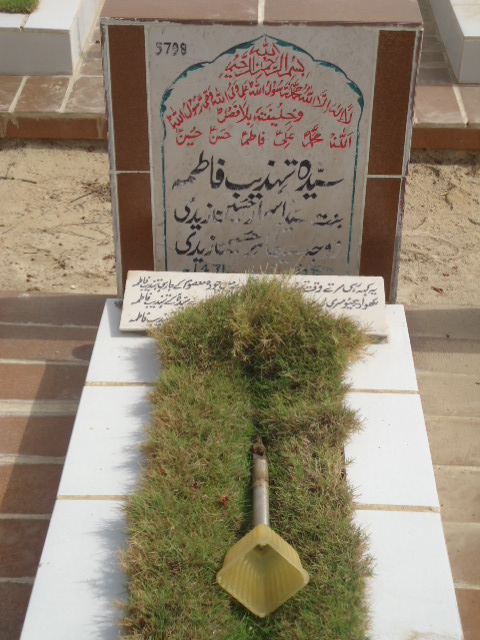5798 – Syeda Tehzeeb Fatima