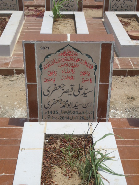 9871 – Syed Ali Qaiser Jaffery