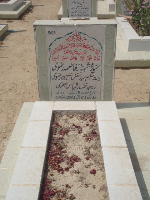 5029 – Syeda Shehnaz Fatima Rizvi