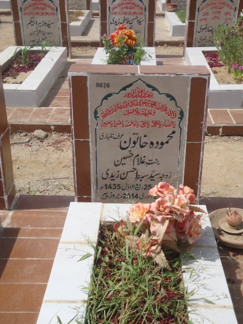 9876 – Mehmooda Khatoon