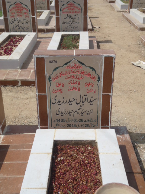 9879 – Syed Iqbal Haider Zaidi