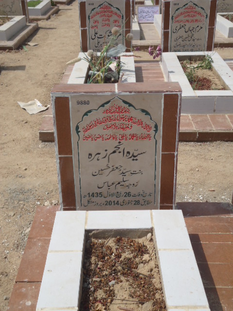9880 – Syeda Anjum Zehra
