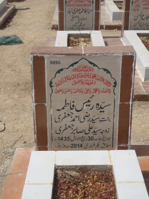 9895 – Syeda Rais Fatima