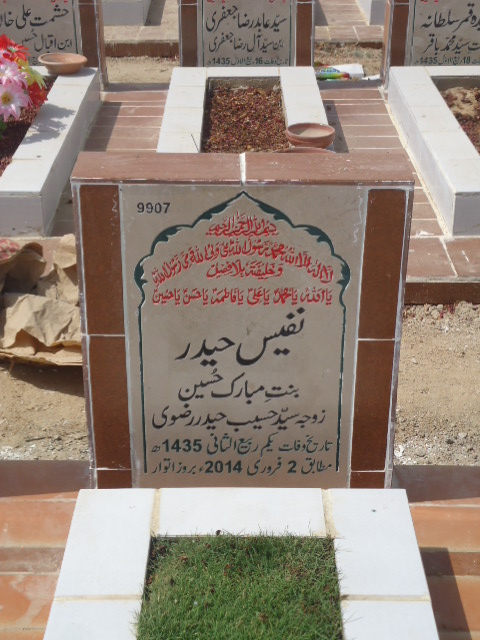 9907 – Nafees Haider